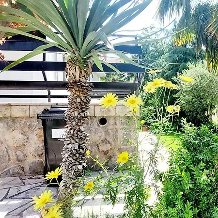 Bella 2 Apartment